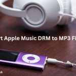 Convert Apple Music DRM to MP3 Filflik